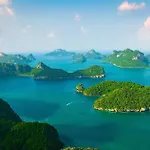 Samui Blue Bird