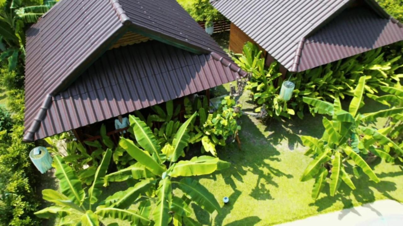 Samui Blue Bird