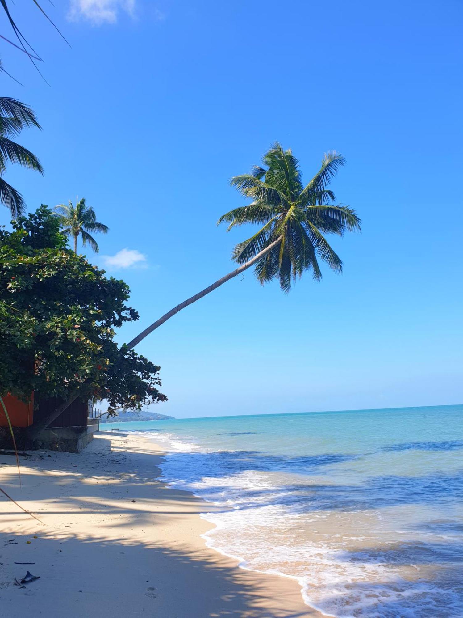Acomodação com café da manhã  Samui Blue Bird Mae Nam
