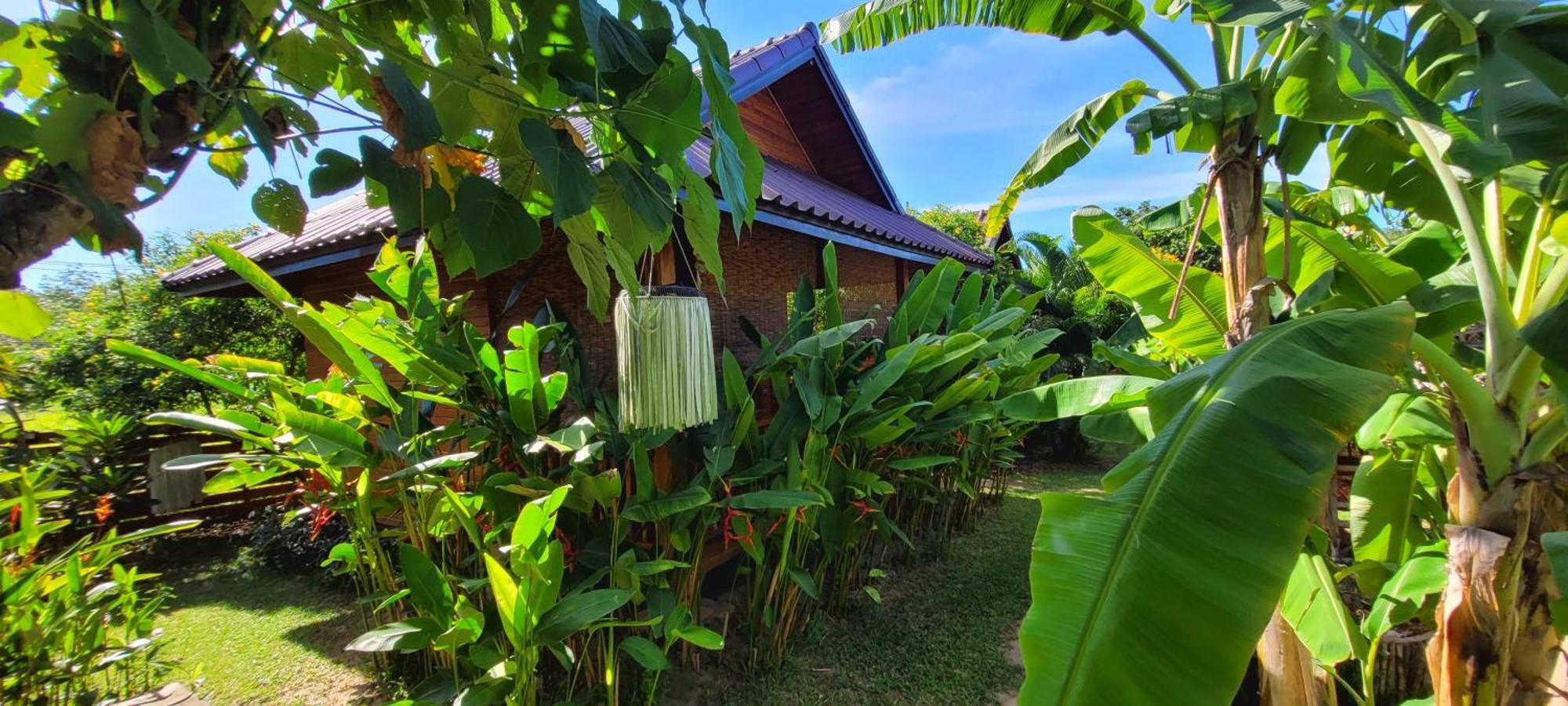 Samui Blue Bird Acomodação com café da manhã 